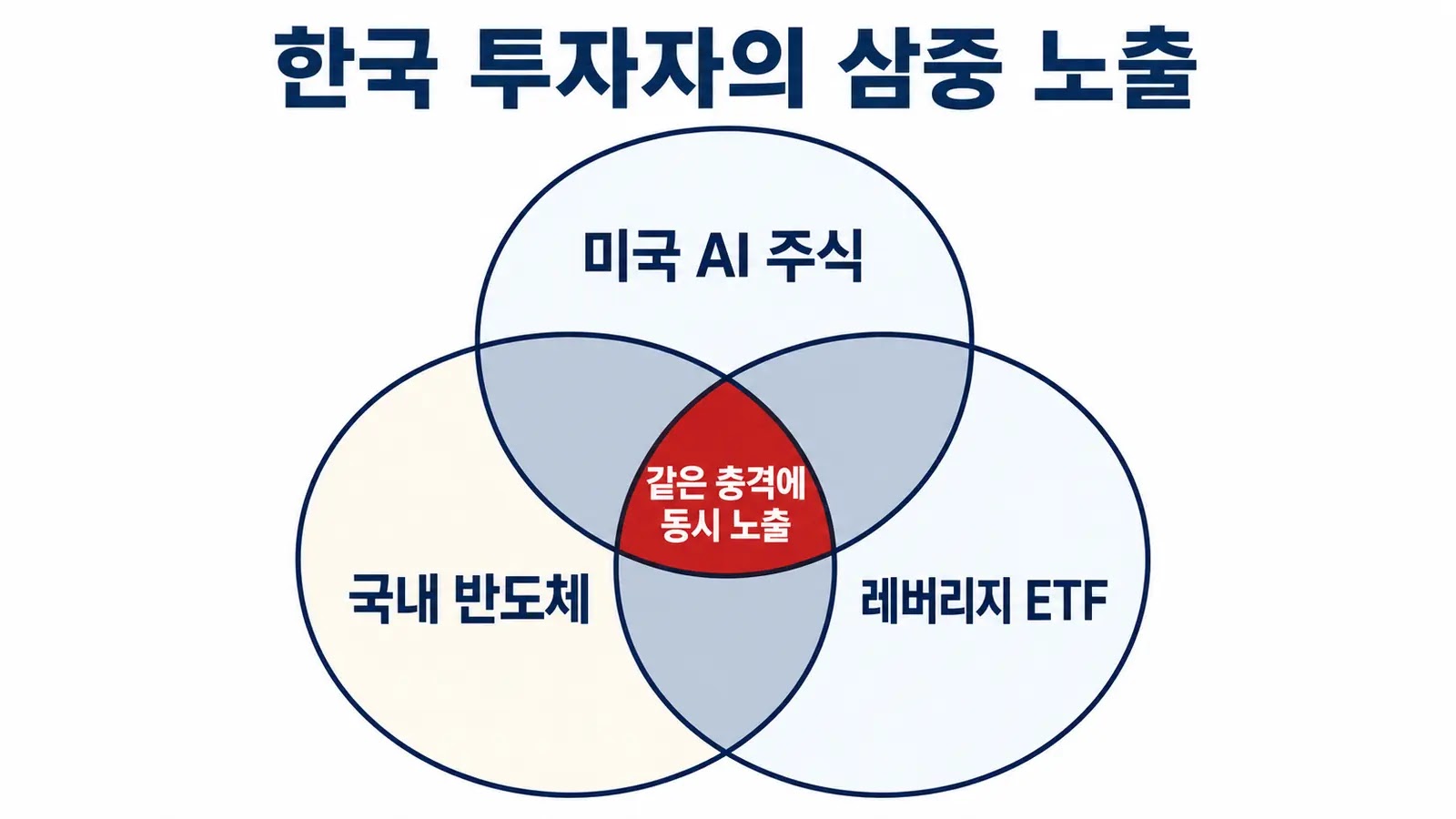 서학개미 미국 AI주 국내 반도체 레버리지 ETF 삼중 노출 구조