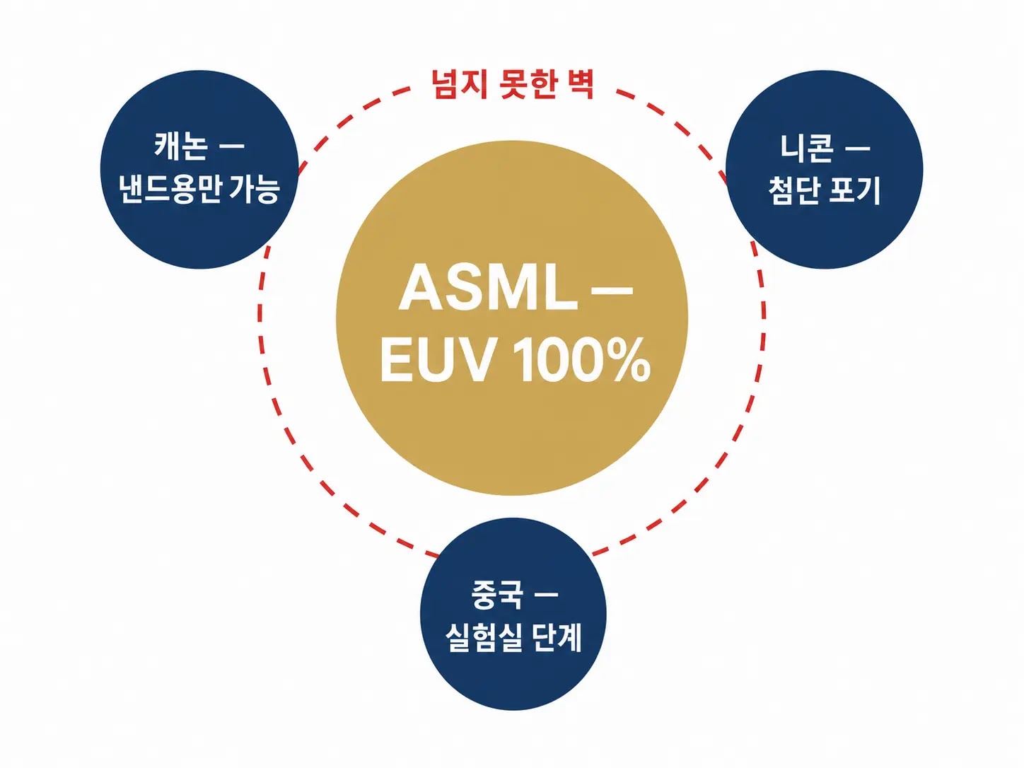 ASML 캐논 니콘 중국 SMEE 노광장비 경쟁 구도 비교 다이어그램